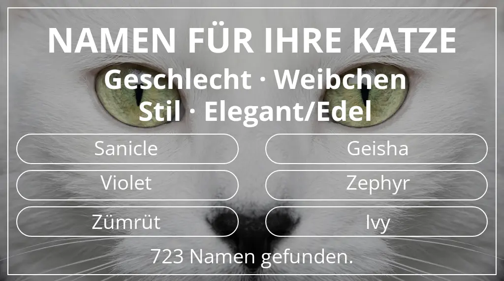 Namen für Katzen inspiriert von geschlecht weibchen und stil elegant/edel