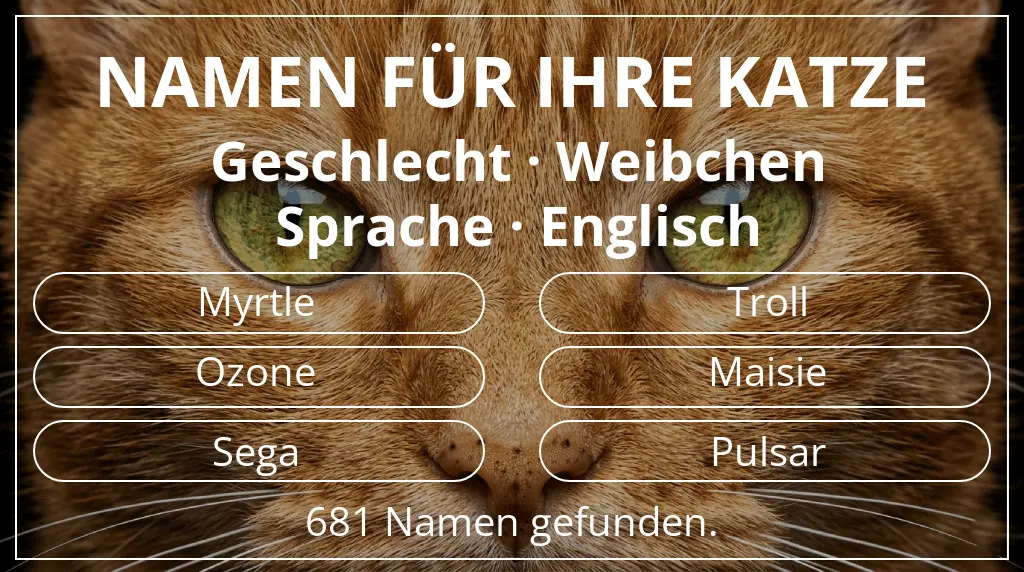 Namen für Katzen inspiriert von geschlecht weibchen und sprache englisch