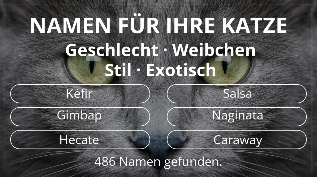 Katzennamen passend zu geschlecht weibchen und stil exotisch