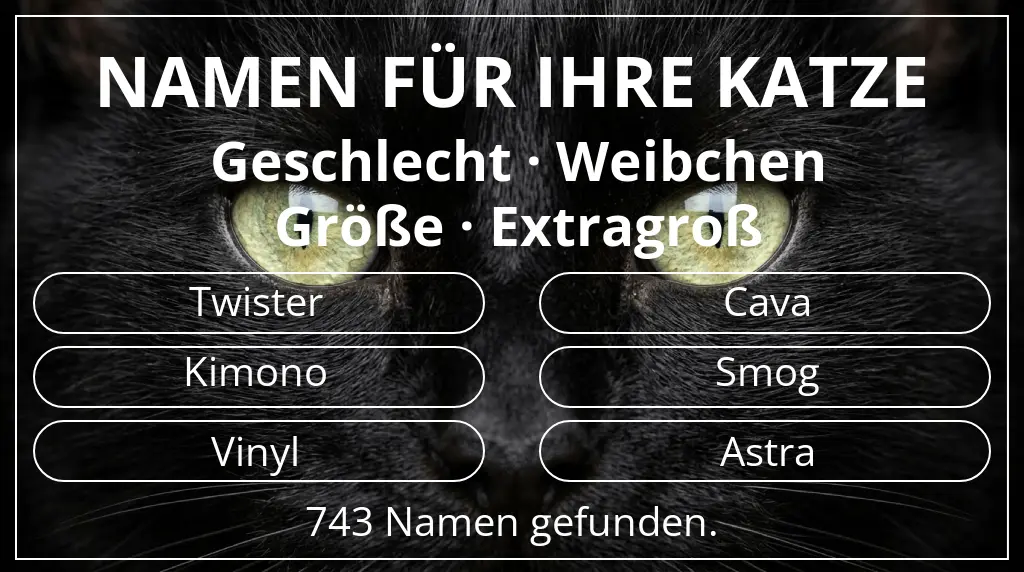 Katzennamen basierend auf geschlecht weibchen und größe extragroß
