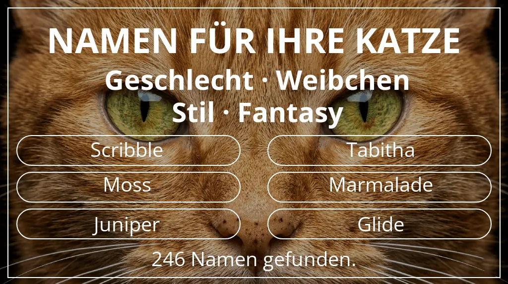 Katzennamen inspiriert von geschlecht weibchen und stil fantasy