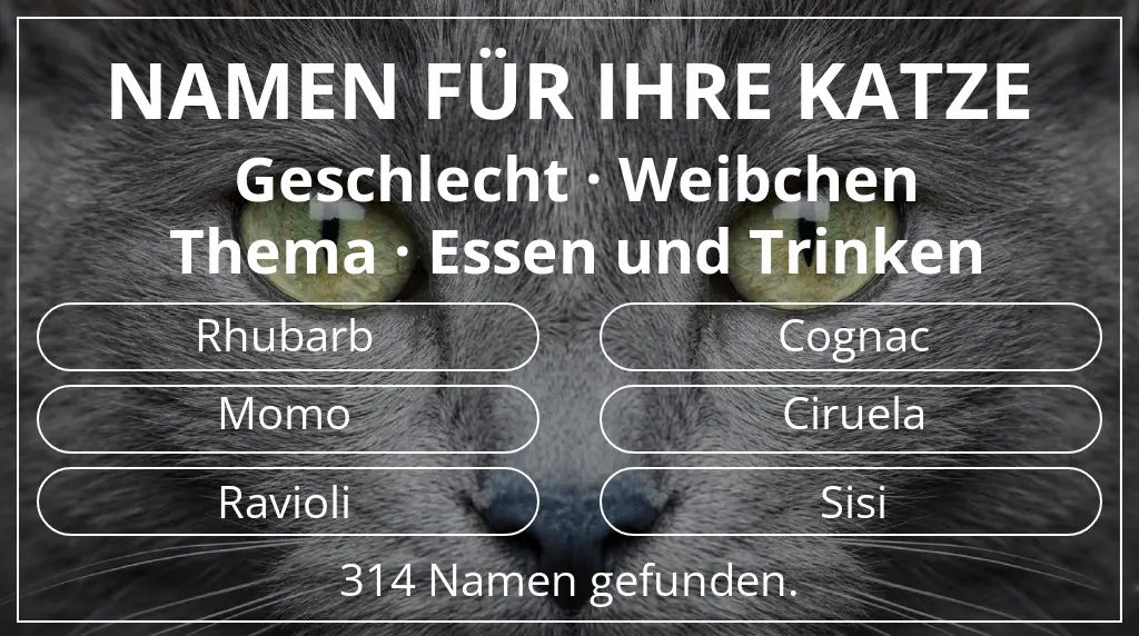 Namen für Katzen inspiriert von geschlecht weibchen und thema essen und trinken