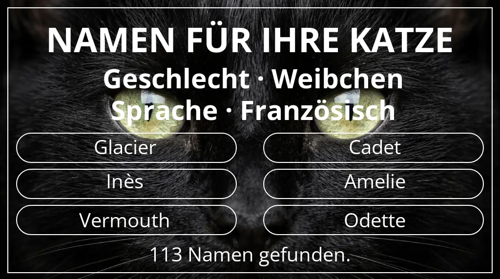 Namen für Katzen basierend auf geschlecht weibchen und sprache französisch