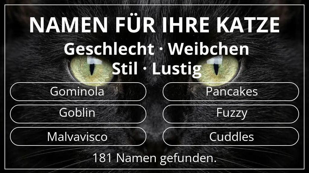Katzennamen inspiriert von geschlecht weibchen und stil lustig