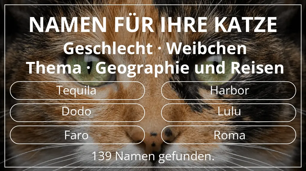 Katzennamen passend zu geschlecht weibchen und thema geographie und reisen