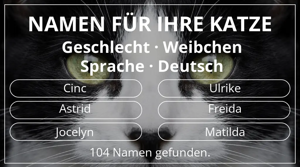 Katzennamen passend zu geschlecht weibchen und sprache deutsch