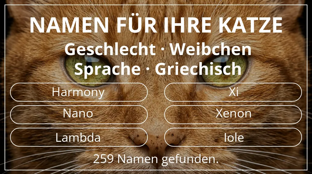 Namen für Katzen basierend auf geschlecht weibchen und sprache griechisch