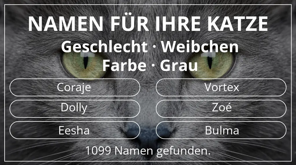 Katzennamen inspiriert von geschlecht weibchen und farbe grau