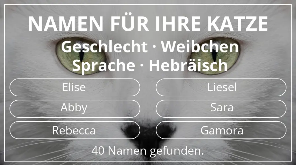 Namen für Katzen basierend auf geschlecht weibchen und sprache hebräisch