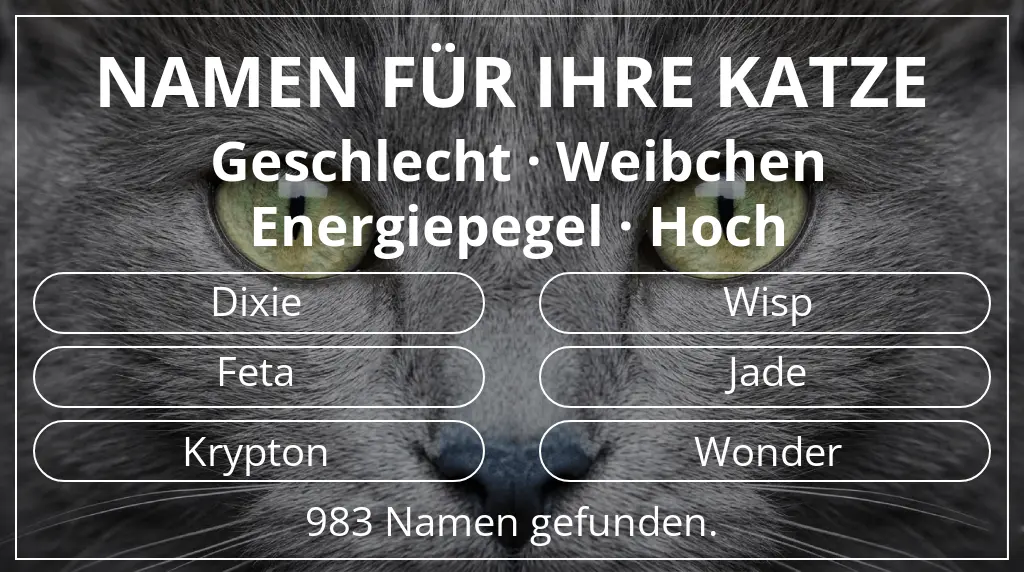 Namen für Katzen passend zu geschlecht weibchen und energiepegel hoch