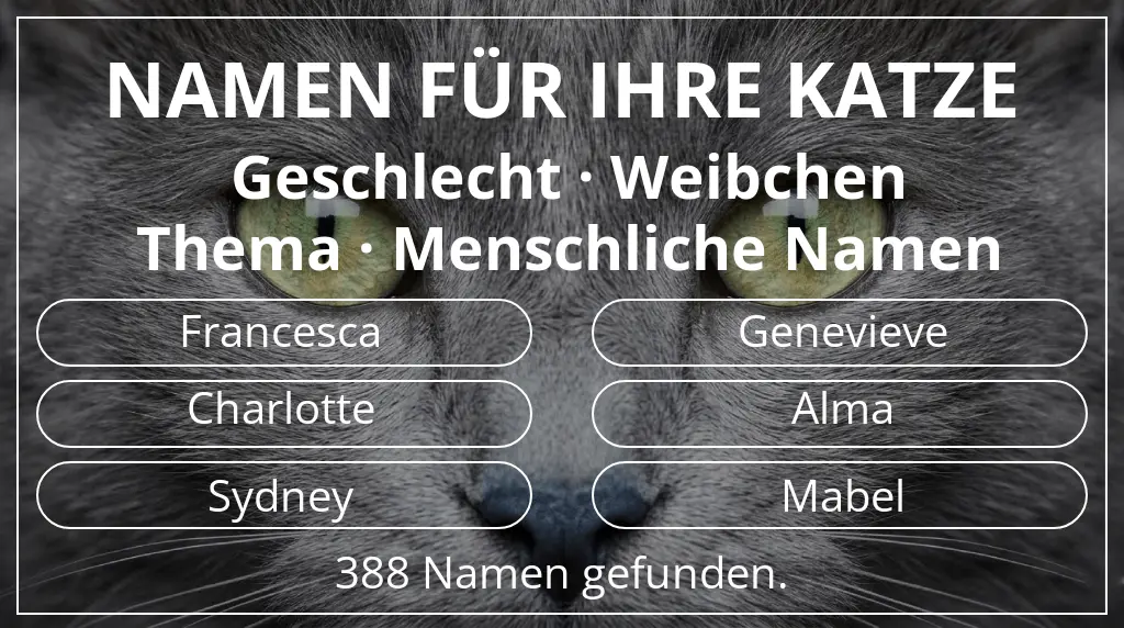 Katzennamen basierend auf geschlecht weibchen und thema menschliche namen
