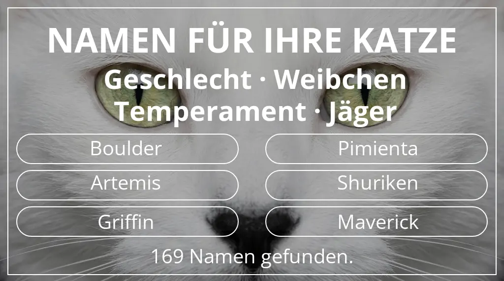 Namen für Katzen inspiriert von geschlecht weibchen und temperament jäger