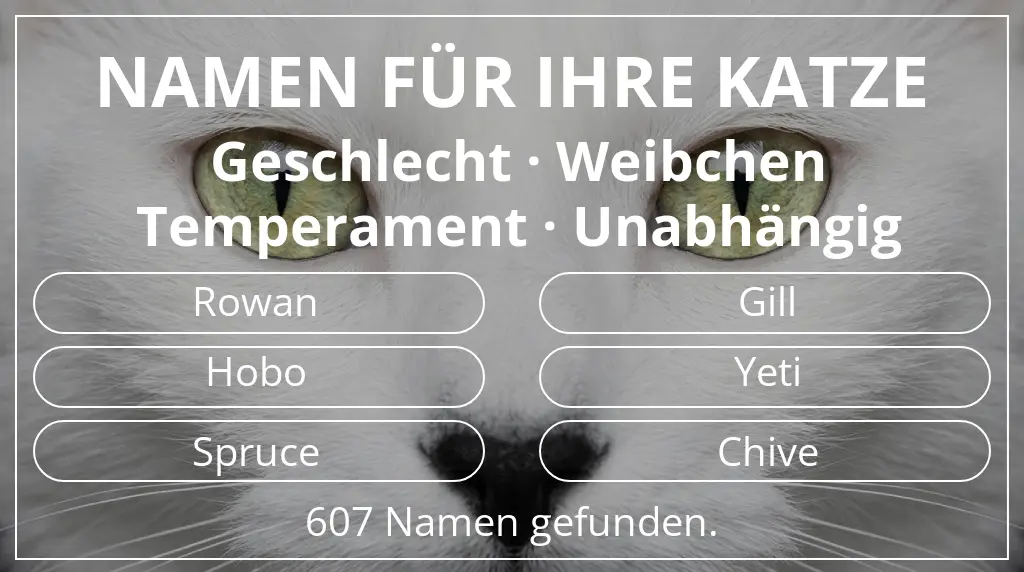 Katzennamen passend zu geschlecht weibchen und temperament unabhängig