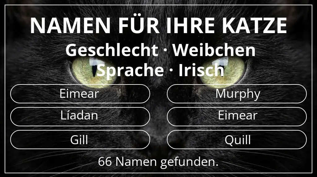 Namen für Katzen inspiriert von geschlecht weibchen und sprache irisch