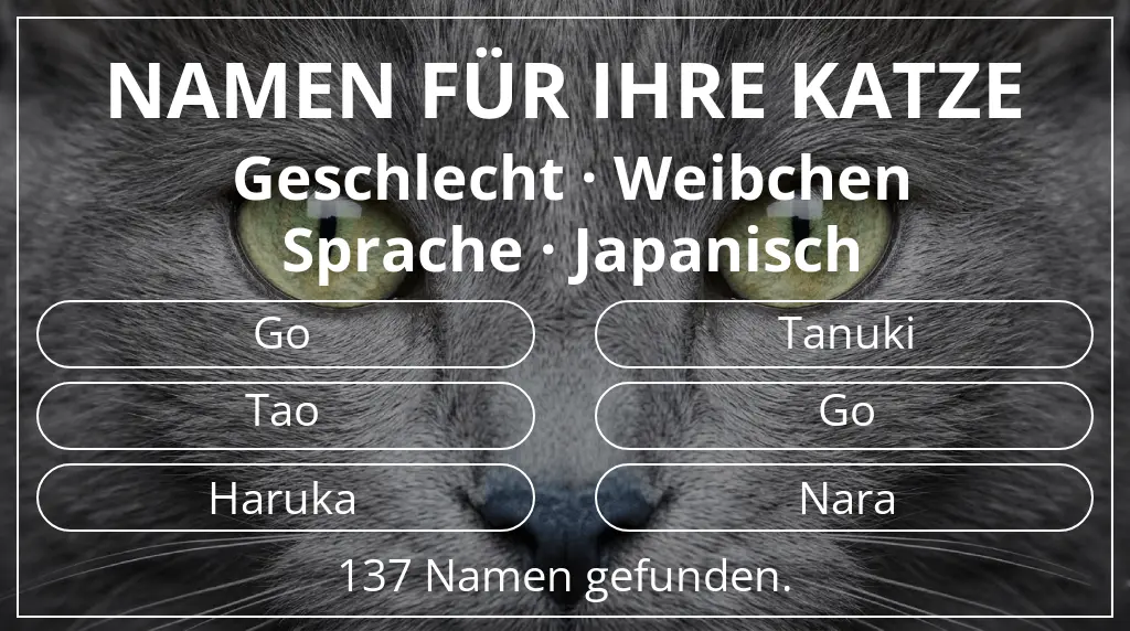 Katzennamen passend zu geschlecht weibchen und sprache japanisch