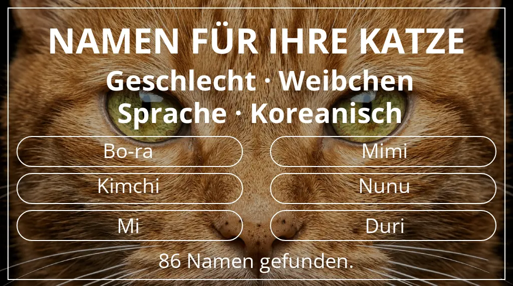 Katzennamen passend zu geschlecht weibchen und sprache koreanisch