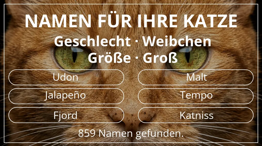 Namen für Katzen inspiriert von geschlecht weibchen und größe groß