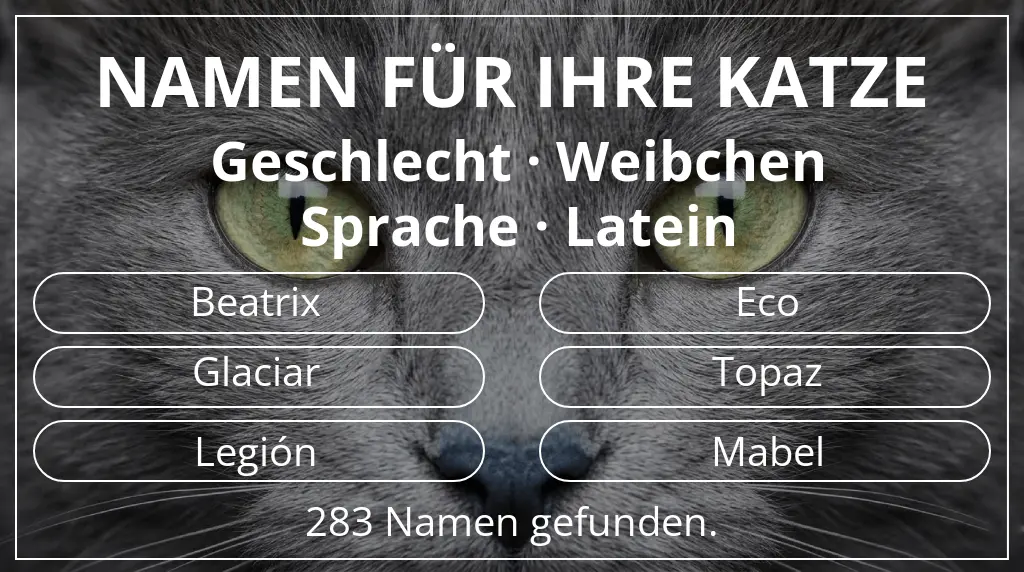 Katzennamen basierend auf geschlecht weibchen und sprache latein