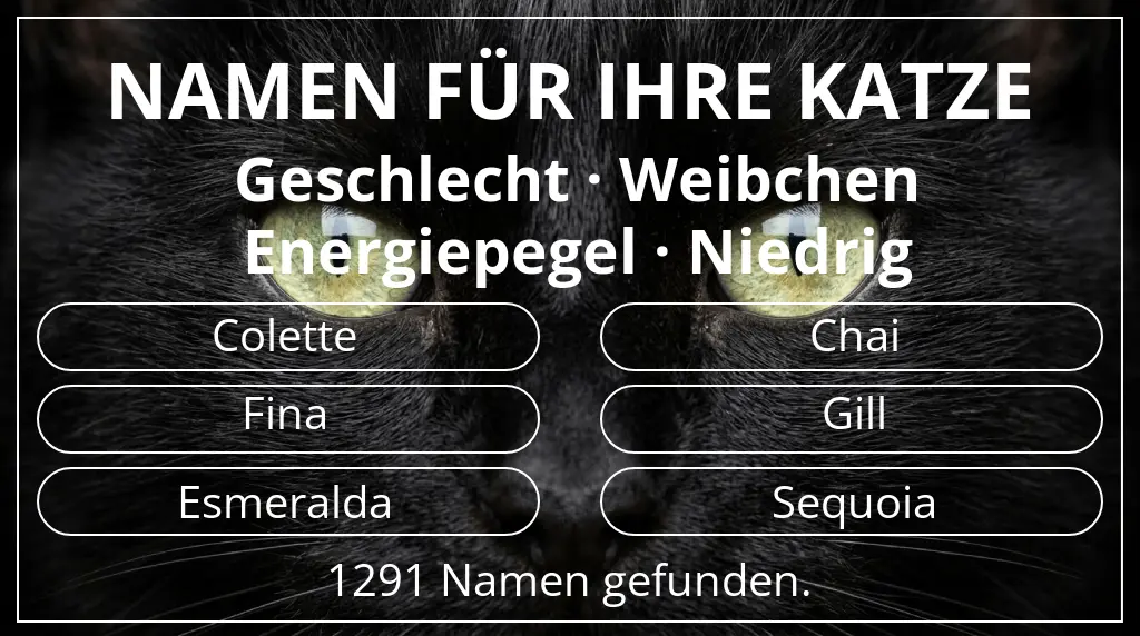 Katzennamen basierend auf geschlecht weibchen und energiepegel niedrig