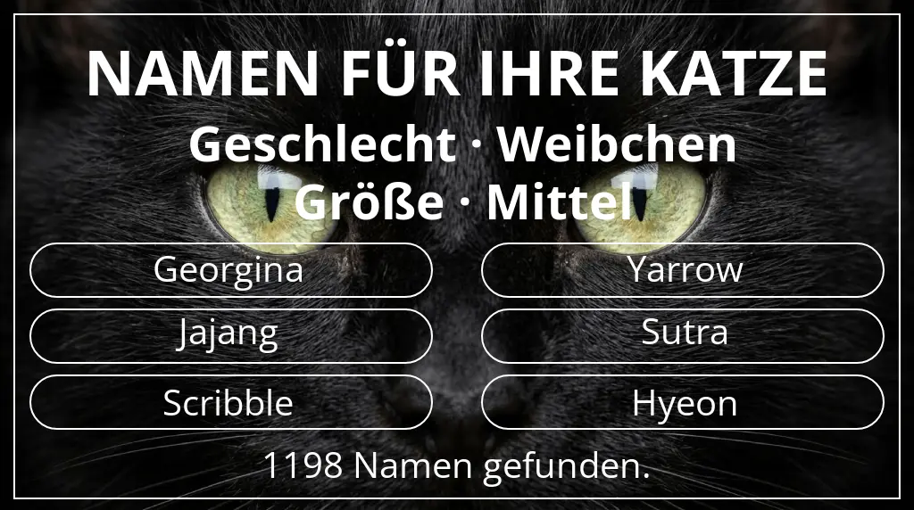 Namen für Katzen passend zu geschlecht weibchen und größe mittel