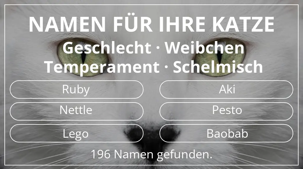 Katzennamen passend zu geschlecht weibchen und temperament schelmisch
