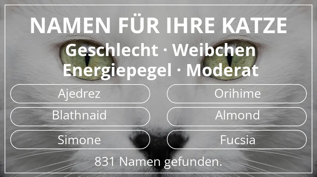 Katzennamen inspiriert von geschlecht weibchen und energiepegel moderat