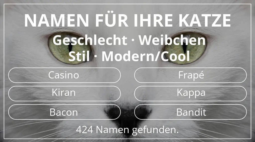 Namen für Katzen passend zu geschlecht weibchen und stil modern/cool