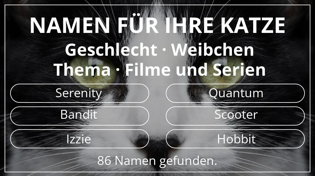 Katzennamen passend zu geschlecht weibchen und thema filme und serien