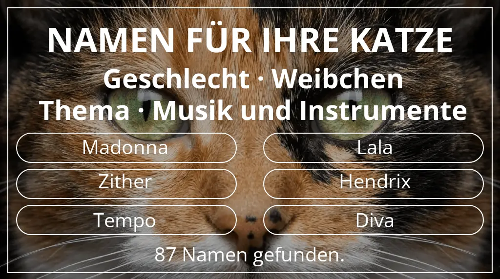 Namen für Katzen inspiriert von geschlecht weibchen und thema musik und instrumente