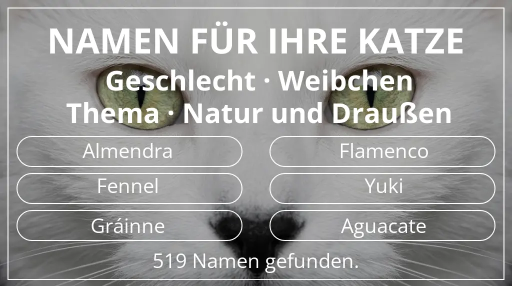 Katzennamen inspiriert von geschlecht weibchen und thema natur und draußen