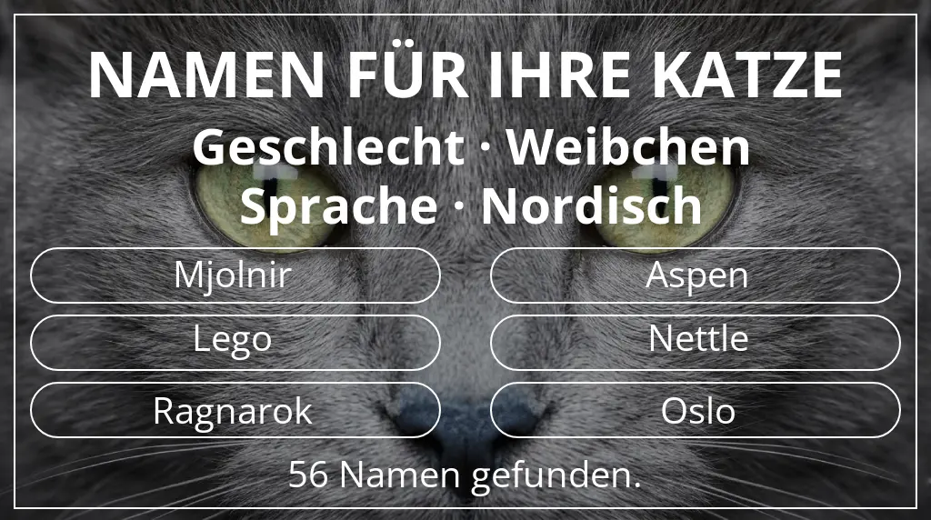 Namen für Katzen inspiriert von geschlecht weibchen und sprache nordisch