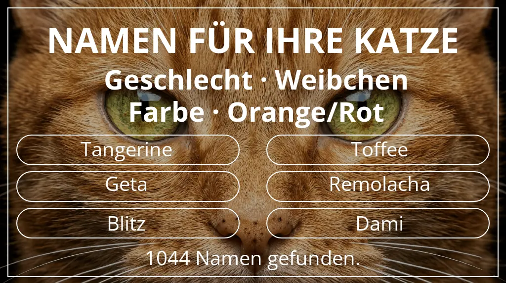 Katzennamen passend zu geschlecht weibchen und farbe orange/rot
