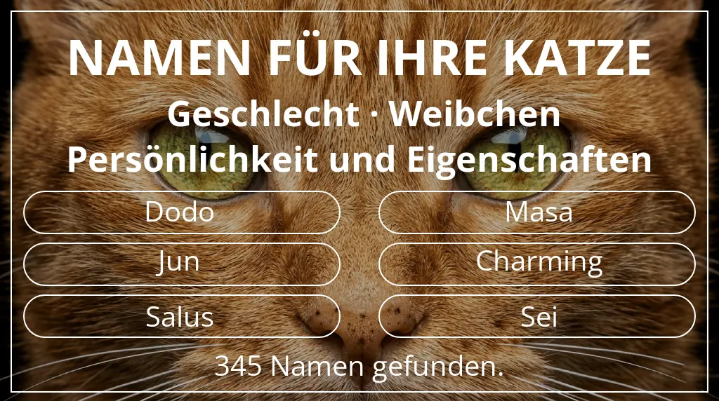 Namen für Katzen passend zu geschlecht weibchen und thema persönlichkeit und eigenschaften