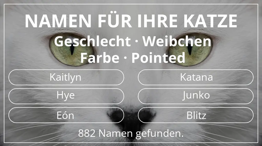 Katzennamen basierend auf geschlecht weibchen und farbe pointed