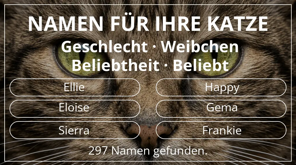 Namen für Katzen inspiriert von geschlecht weibchen und beliebtheit beliebt