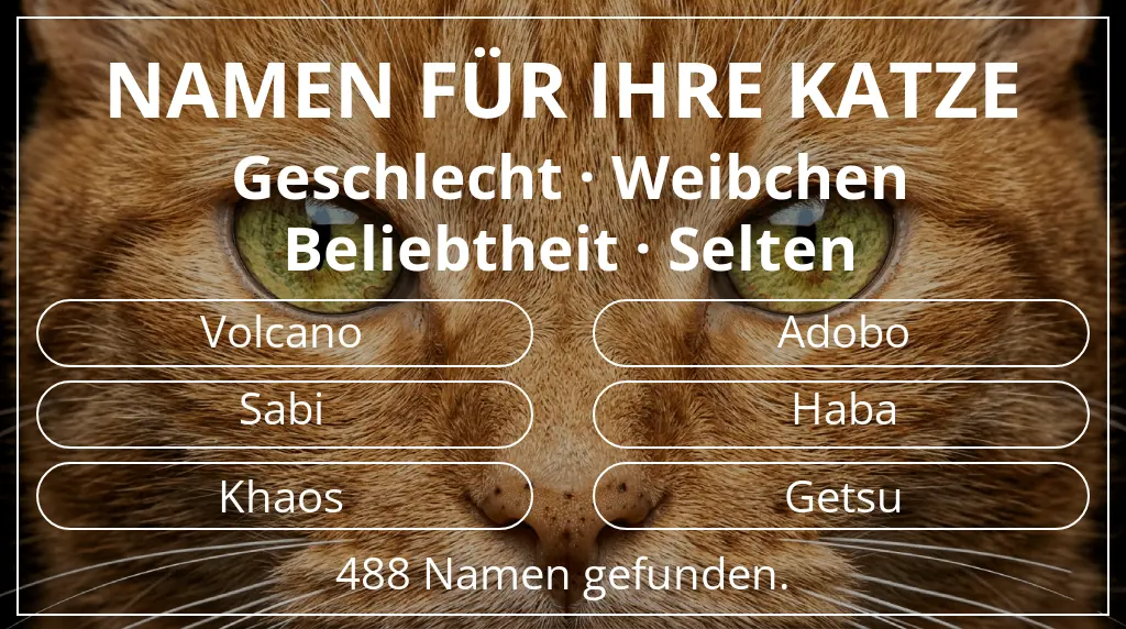 Katzennamen inspiriert von geschlecht weibchen und beliebtheit selten