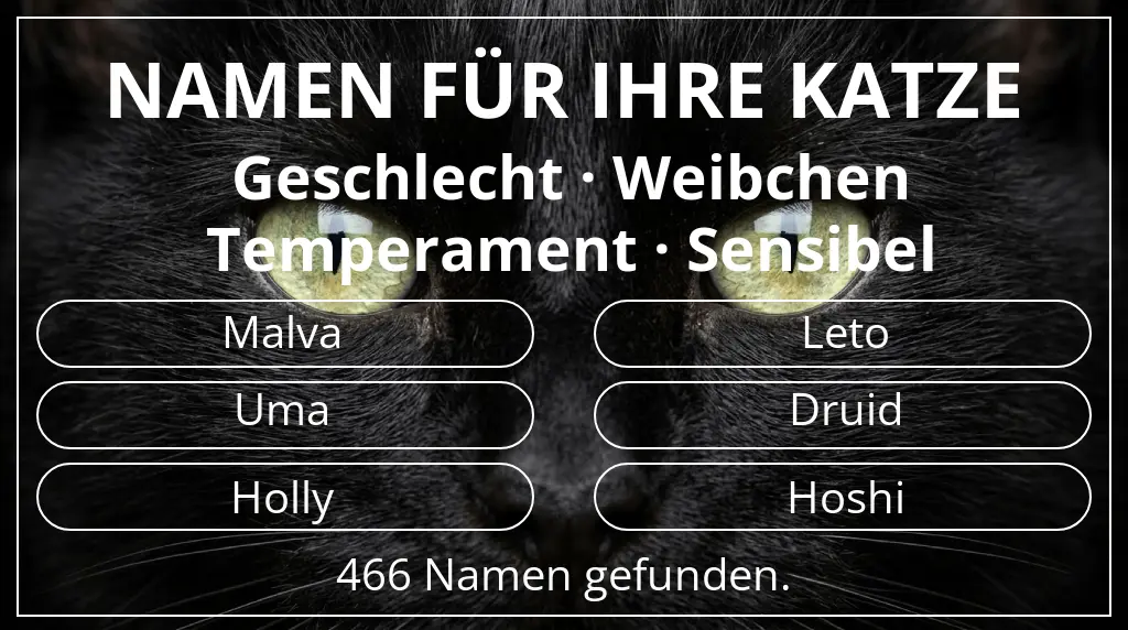 Namen für Katzen basierend auf geschlecht weibchen und temperament sensibel
