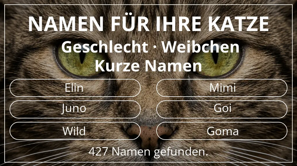 Katzennamen basierend auf geschlecht weibchen und namenslänge kurz (2–4)
