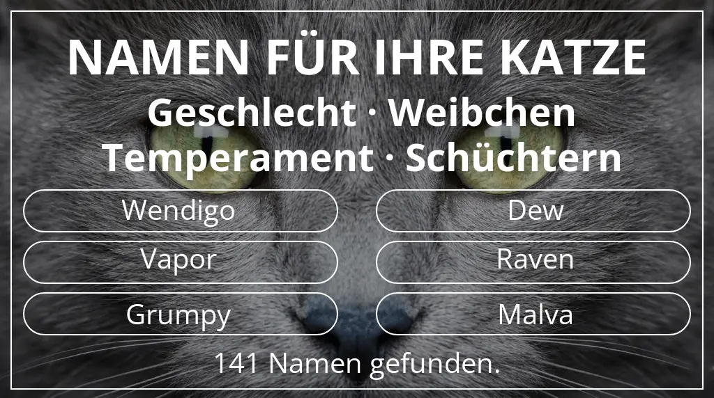 Namen für Katzen inspiriert von geschlecht weibchen und temperament schüchtern
