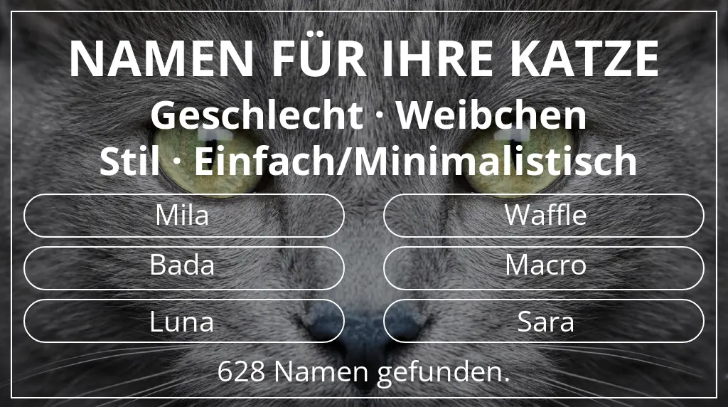 Katzennamen inspiriert von geschlecht weibchen und stil einfach/minimalistisch