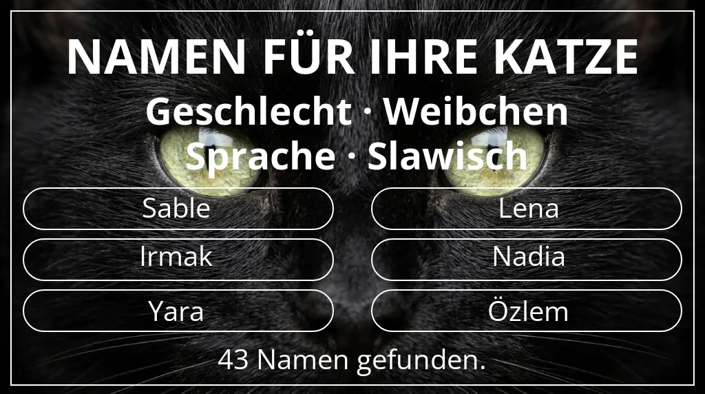 Namen für Katzen inspiriert von geschlecht weibchen und sprache slawisch