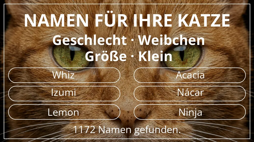 Katzennamen inspiriert von geschlecht weibchen und größe klein