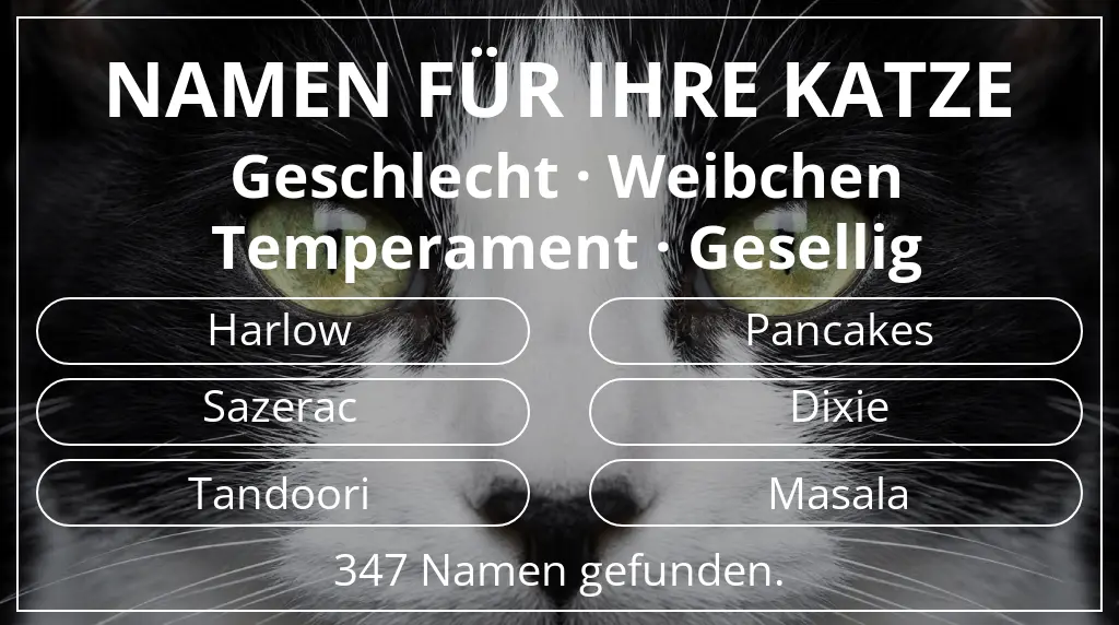 Katzennamen basierend auf geschlecht weibchen und temperament gesellig