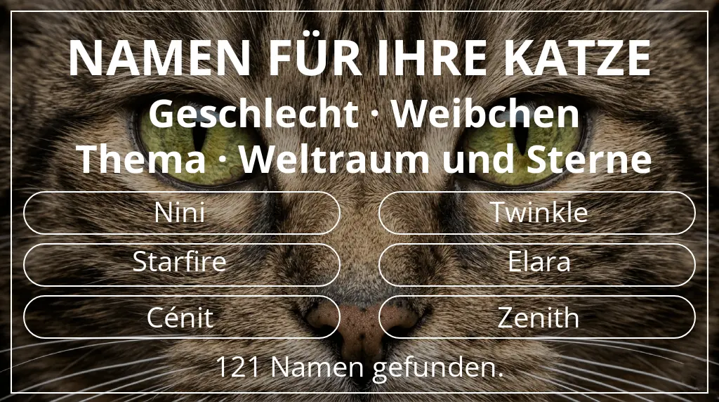 Katzennamen basierend auf geschlecht weibchen und thema weltraum und sterne