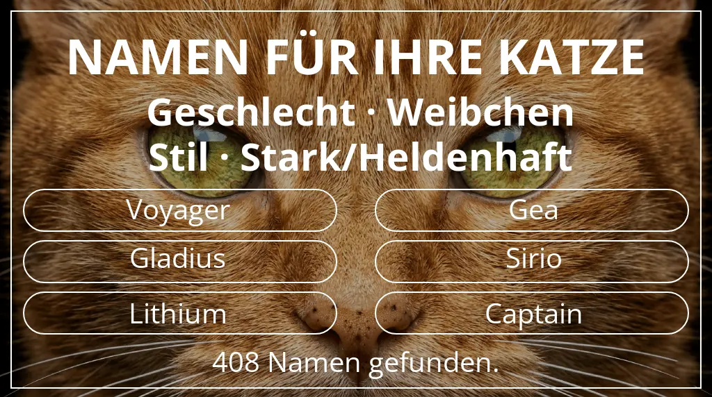 Katzennamen passend zu geschlecht weibchen und stil stark/heldenhaft