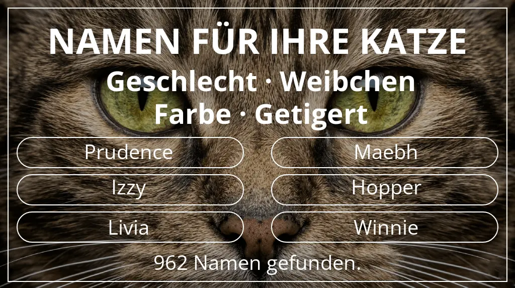 Katzennamen basierend auf geschlecht weibchen und farbe getigert