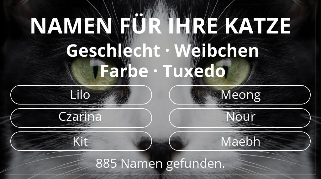 Namen für Katzen inspiriert von geschlecht weibchen und farbe tuxedo
