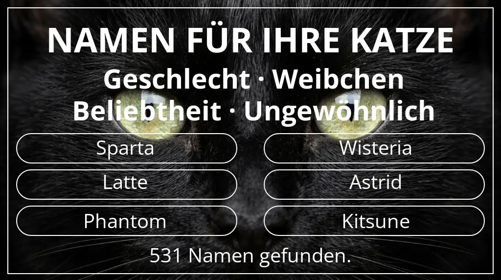 Katzennamen inspiriert von geschlecht weibchen und beliebtheit ungewöhnlich