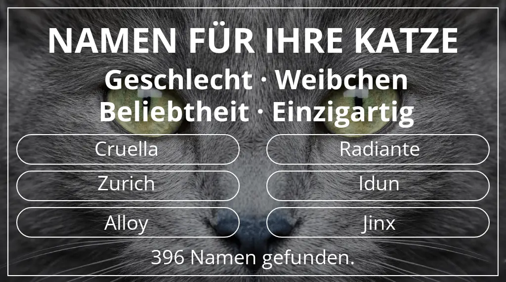 Katzennamen basierend auf geschlecht weibchen und beliebtheit einzigartig