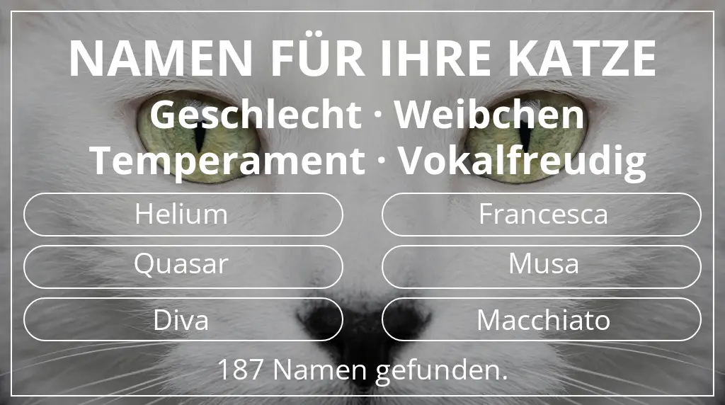 Katzennamen passend zu geschlecht weibchen und temperament vokalfreudig